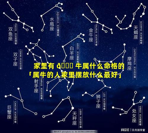 家里有 🐟 牛属什么命格的「属牛的人家里摆放什么最好」
